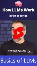 basics of llms