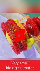 very small biological motor